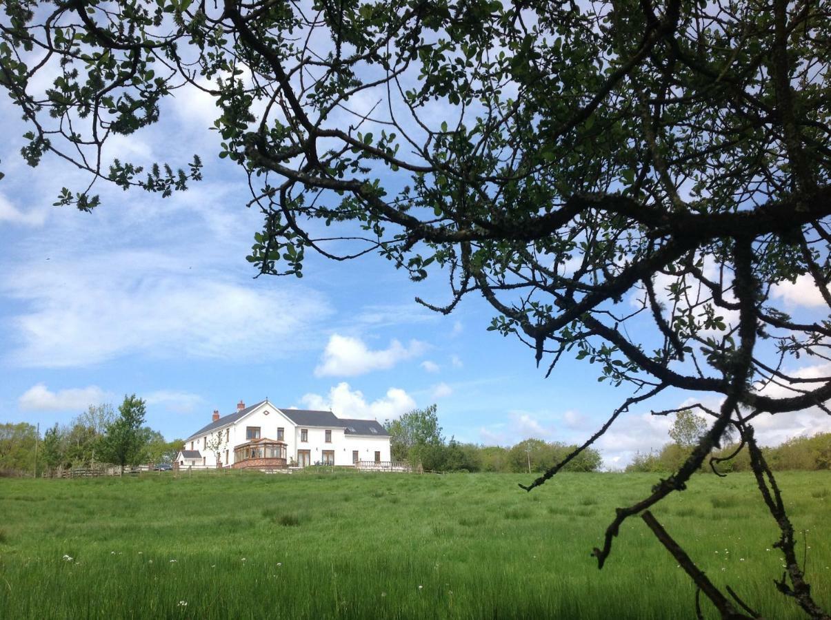 NantgaredigPenddaulwyn Uchaf Farm # Carmarthenshire公寓 外观 照片