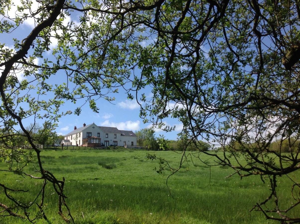 NantgaredigPenddaulwyn Uchaf Farm # Carmarthenshire公寓 外观 照片