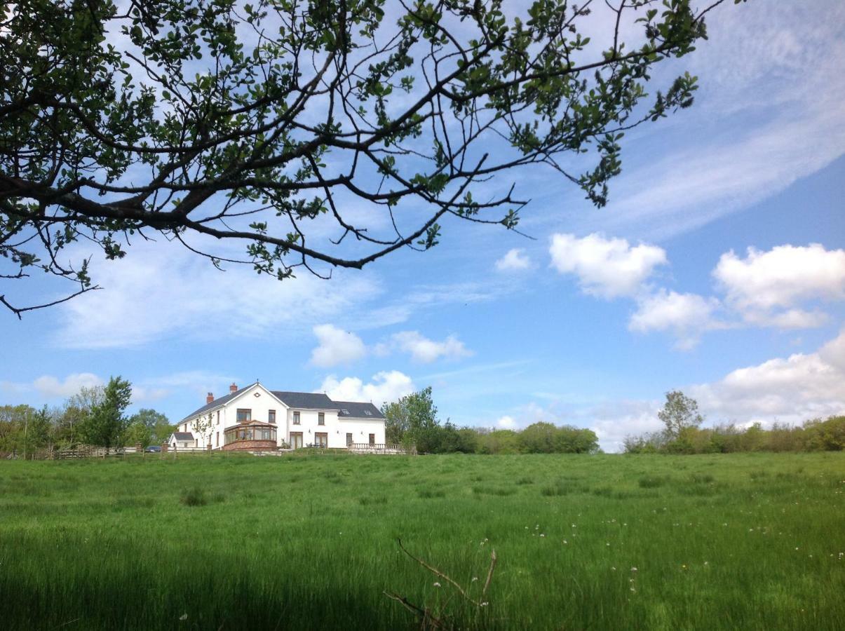 NantgaredigPenddaulwyn Uchaf Farm # Carmarthenshire公寓 外观 照片