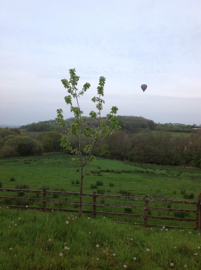 NantgaredigPenddaulwyn Uchaf Farm # Carmarthenshire公寓 外观 照片