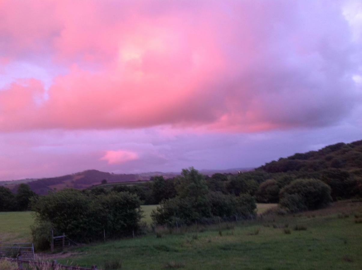 NantgaredigPenddaulwyn Uchaf Farm # Carmarthenshire公寓 外观 照片