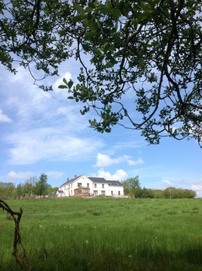 NantgaredigPenddaulwyn Uchaf Farm # Carmarthenshire公寓 外观 照片