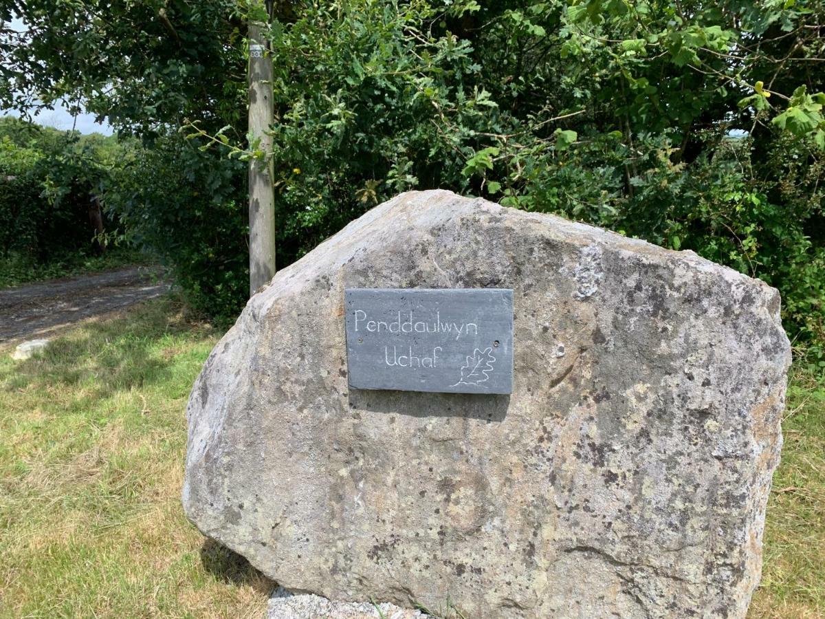 NantgaredigPenddaulwyn Uchaf Farm # Carmarthenshire公寓 外观 照片